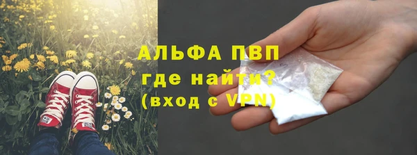 прущие грибы Навашино