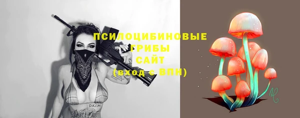 прущие грибы Навашино