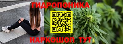 крисы Гай
