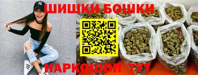 крисы Гай