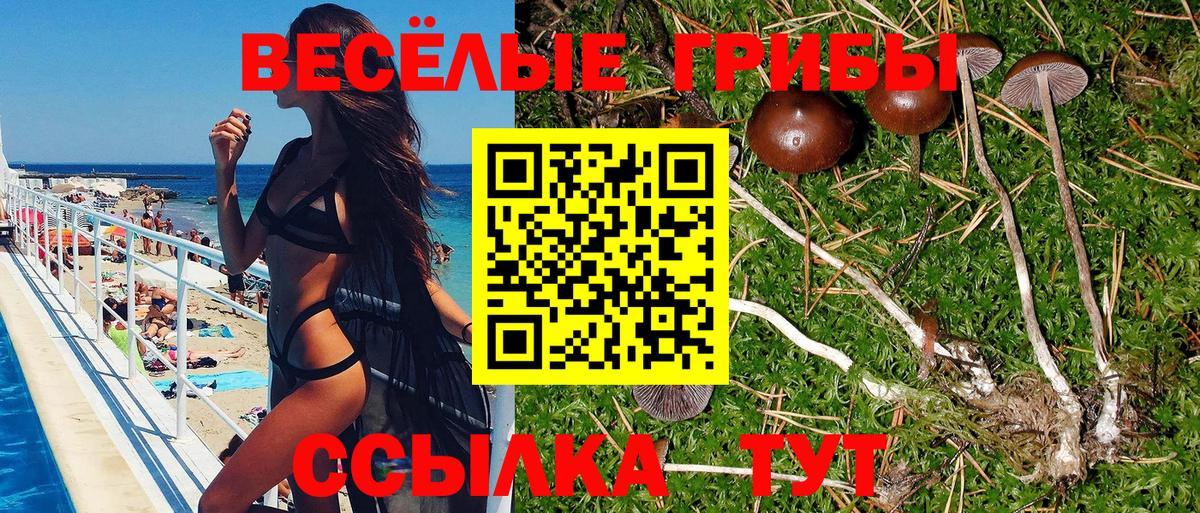 Псилоцибиновые грибы MAGIC MUSHROOMS  Донской 