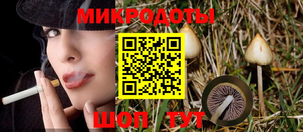 Галлюциногенные грибы Psilocybe Донской