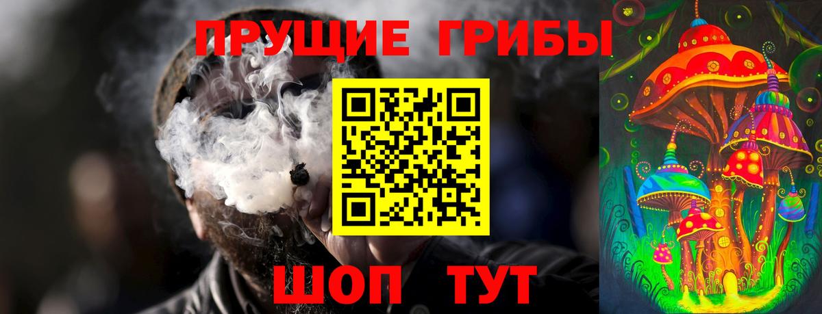 Галлюциногенные грибы Psilocybe Донской