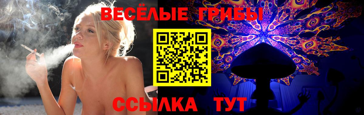 Донской  Галлюциногенные грибы GOLDEN TEACHER  Псилоцибиновые грибы Magic Shrooms  Вход с VPN 